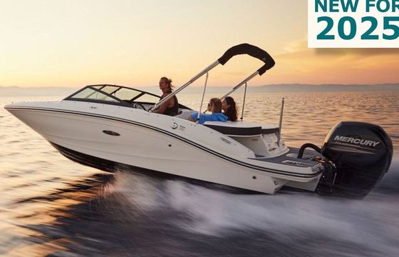 Motorboat Sea Ray 190 SPXR 150hp