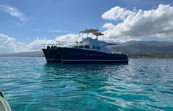 Motorboat Lagoon Lagoon Power 43 300hp