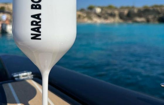 RIB Almarine 820S 300hp