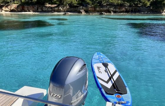 Motorboat Pacific Craft 650 Sun Cruiser 175hp