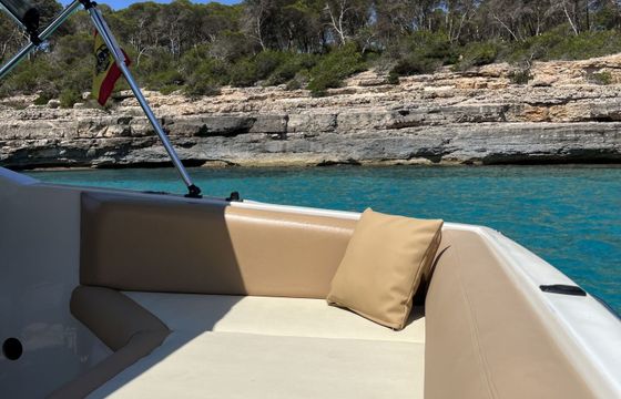 Motorboat WELLCRAFT OPEN 260hp