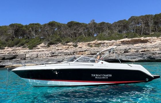 Motorboat WELLCRAFT OPEN 260hp
