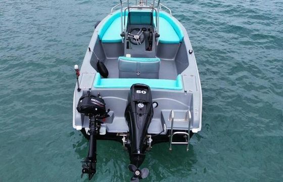 Motorboat PROTEUS 2023 60hp
