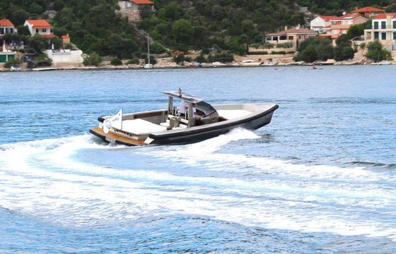 Motorboat Wally Tender 45 900hp