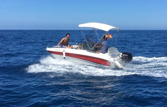 Motorboat Remus 450 15hp