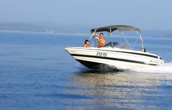 Motorboat Larson 230 270hp