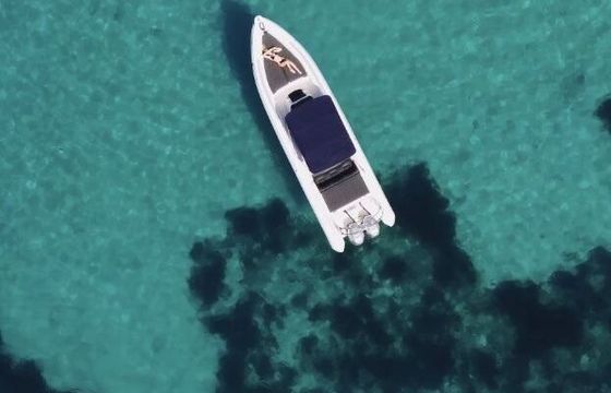 RIB Cobra 900 Royal 300hp