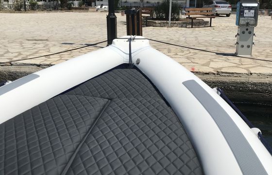 RIB Cobra 900 Royal 300hp