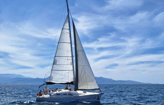 Sailboat Elan Elan 37 Performance 11.16m