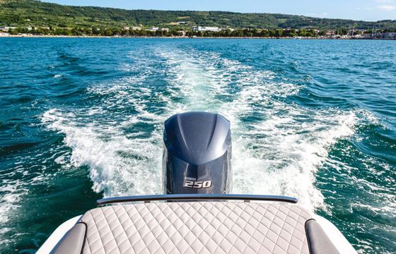 Motorboat Alfastreet 25 250hp