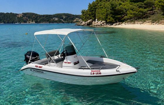 Motorboat Poseidon F30ELPT CT 30hp