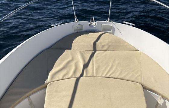 Motorboat Beneteau Flyer 5.5 115hp