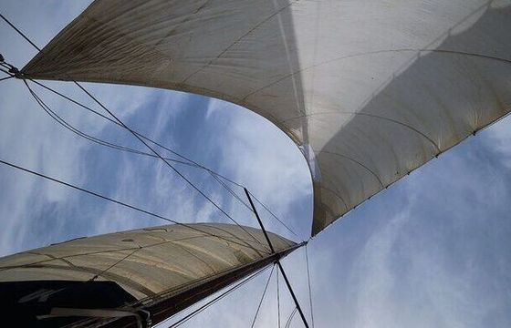 Sailboat custom custom 9.5m