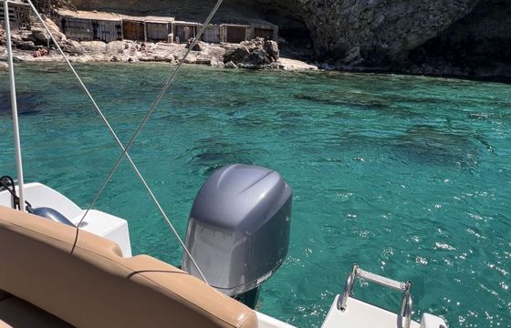 Motorboat Jeanneau Cap Camarat 7.5 WA 225hp