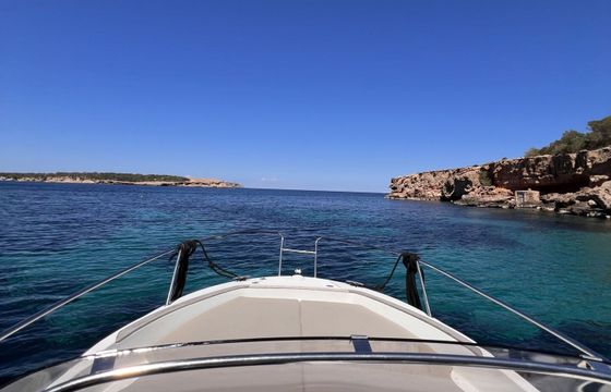 Motorboat Jeanneau Cap Camarat 7.5 WA 225hp