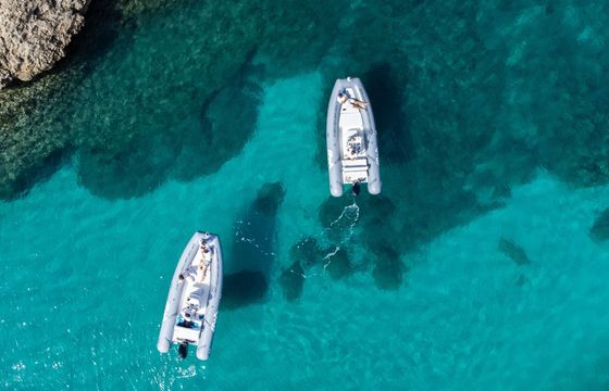 Boat without licence  Bwa 550 40hp