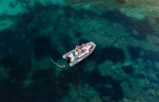 Boat without licence  Bwa 550 40hp