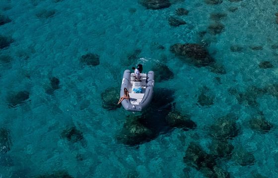 Boat without licence  Bwa 550 40hp