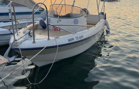 Motorboat Poseidon Blu Water 50hp