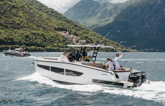 Motorboat Fiart Mare Sea Walker 700hp
