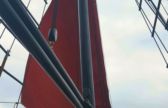 Sailing yacht MotorSailer Schooner 21m