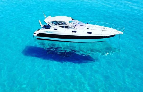 Motorboat Gobbi Atlantis 425 sc - Refitting 2022 600hp