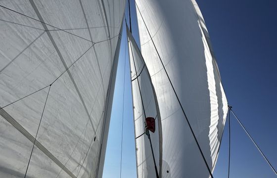 Catamaran ALIBI CATAMARAN ALIBI 55 16.88m