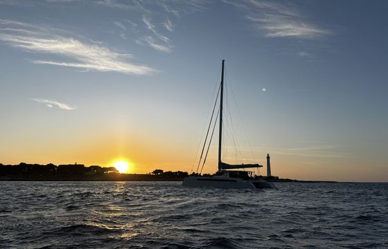 Catamaran ALIBI CATAMARAN ALIBI 55 16.88m