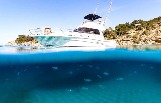 Motorboat Faeton Moraga Fly 1180 1000hp