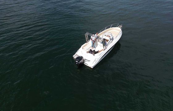Motorboat Marinello Eden 26 open 225hp