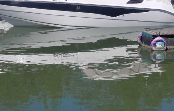 Motorboat Real 365 500hp