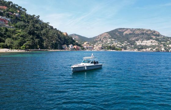 Motorboat Axopar TTOP 28 350hp