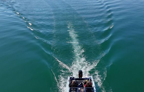 Motorboat Glastron Ssv 172 60hp