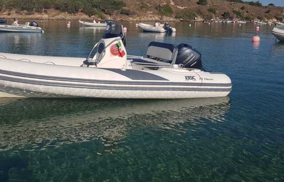 Boat without licence  BSC 50 - CON TENDALINO 40hp