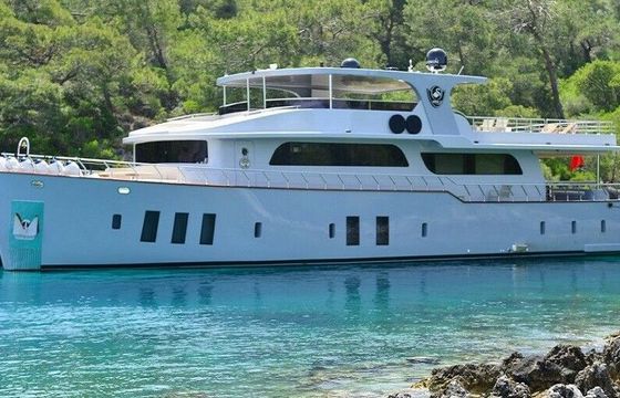 Motor yacht Custom Trawler 1080hp