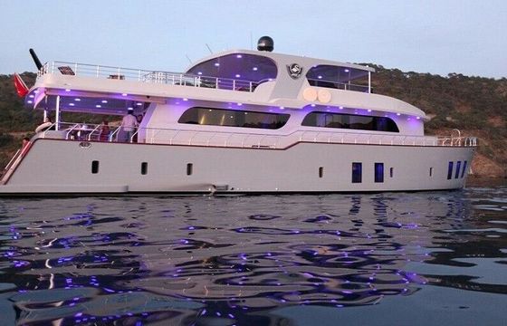 Motor yacht Custom Trawler 1080hp