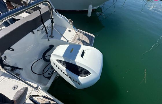 Motorboat JEANNEAU CAP CAMARAT 7.5 250hp