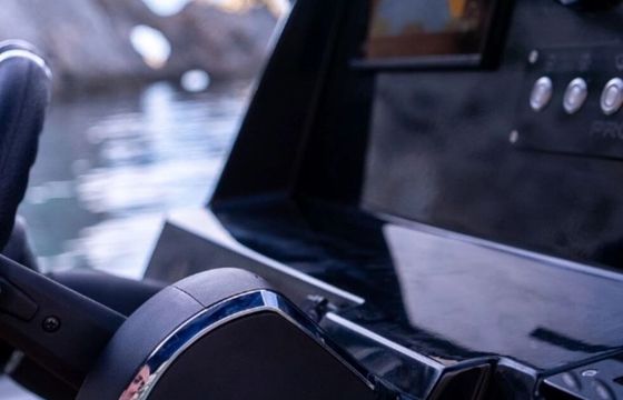 Motorboat Protagon 25 Sundeck 250Hp Yamaha 2026 250hp