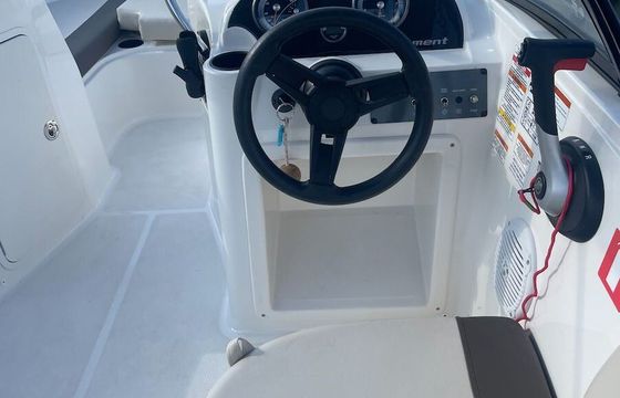Motorboat BAYLINER ELEMENT E7 150hp