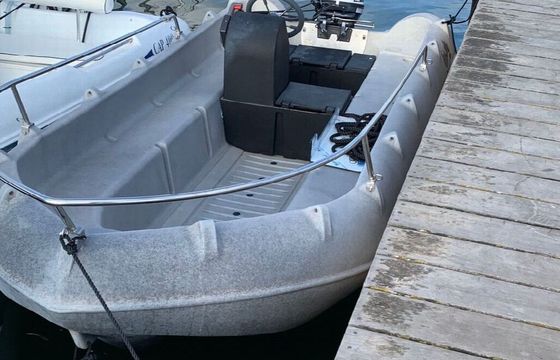 Boat without licence WHALY WHALY 435 6hp