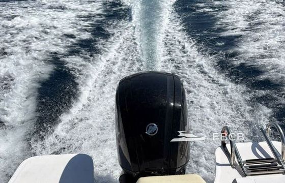 Motorboat Marine 6.2 115hp