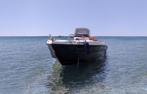Motorboat Poseidon Blu Water 185 30hp