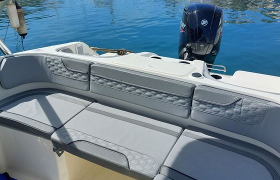 Motorboat Bayliner M17 115hp