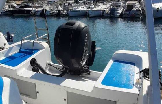 Motorboat Nelis-cyp Nelis-750 150hp