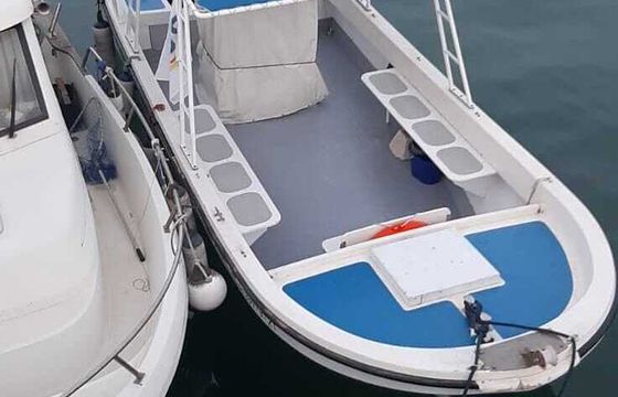 Motorboat Nelis-cyp Nelis-750 150hp