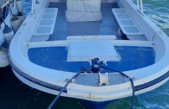 Motorboat Nelis-cyp Nelis-750 150hp