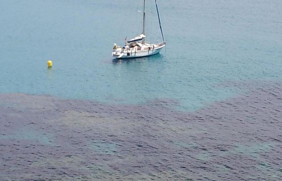 Sailboat GUY COUACH V12 12m