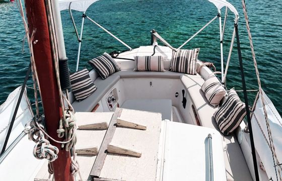 Motorboat Plastic Siller Superpescadou