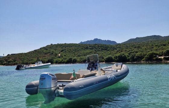 RIB Bwa 26 GT  2015 250hp