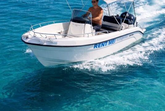 Boat without licence  Poseidon Blue Waters 170 36hp